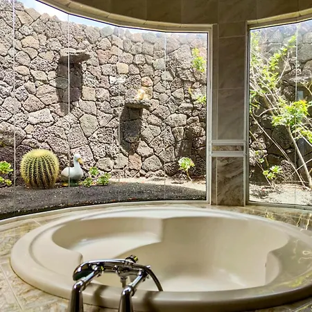 Volkkanrentals Cactus Punta Mujeres