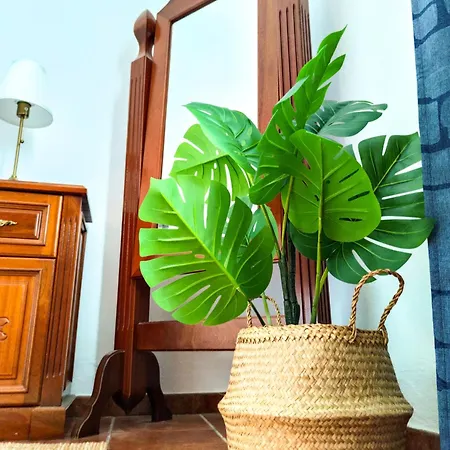 Volkkanrentals Cactus * Punta Mujeres