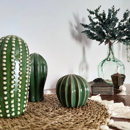 Volkkanrentals Cactus *
