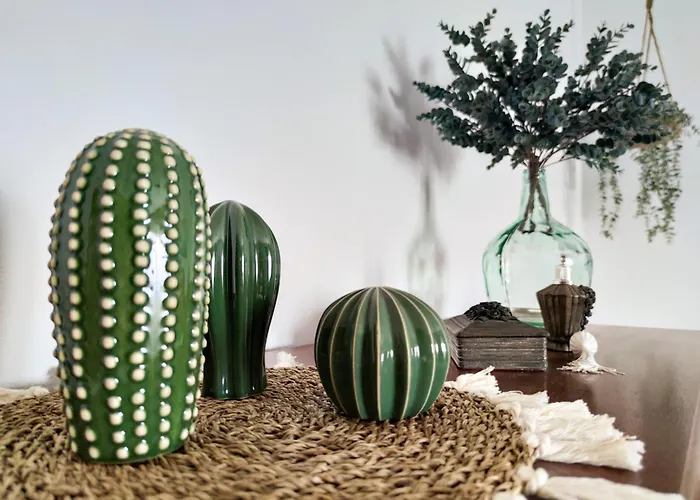 Volkkanrentals Cactus *