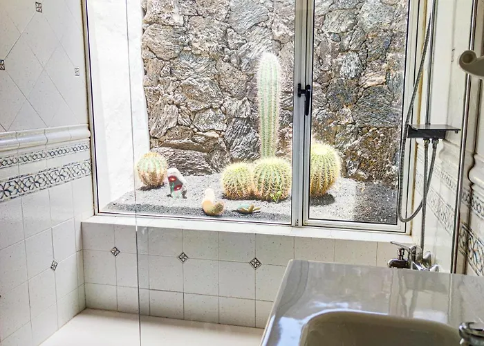 Villa Volkkanrentals Cactus *